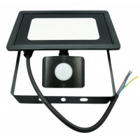 Zewnętrzny Naświetlacz Halogen LED 20W z Czujnikiem Ruchu, Barwa Zimnobiała + Złączka