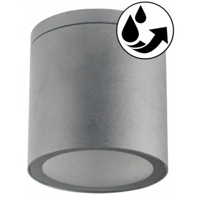 LAMPA Sufitowa ZEWNĘTRZNA Q18R Plafon LED Ogrodowa IP44 - Szara