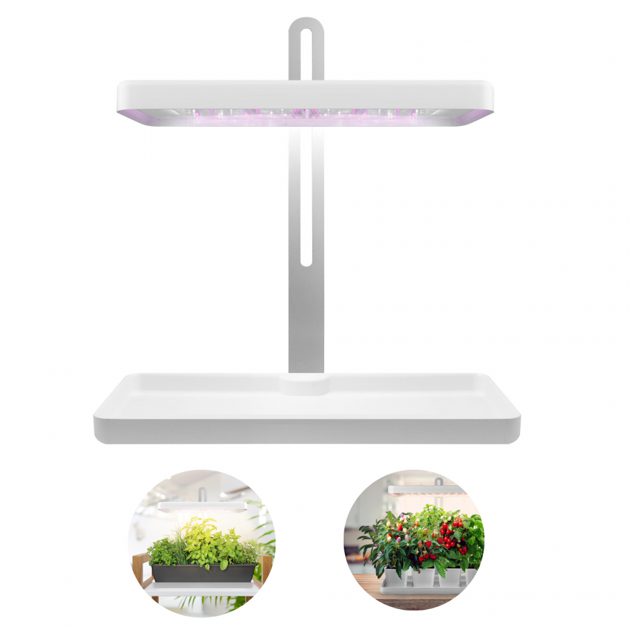 Lampa do Roślin LED do Wzrostu Uprawy 20W Timer Regulator Grow Light