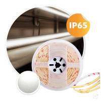 Taśma LED COB 24V 5m – jednolite światło bez widocznych punktów diod LED 4000K IP65